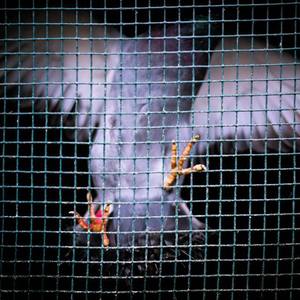 丰满寡妇裸体肉交
